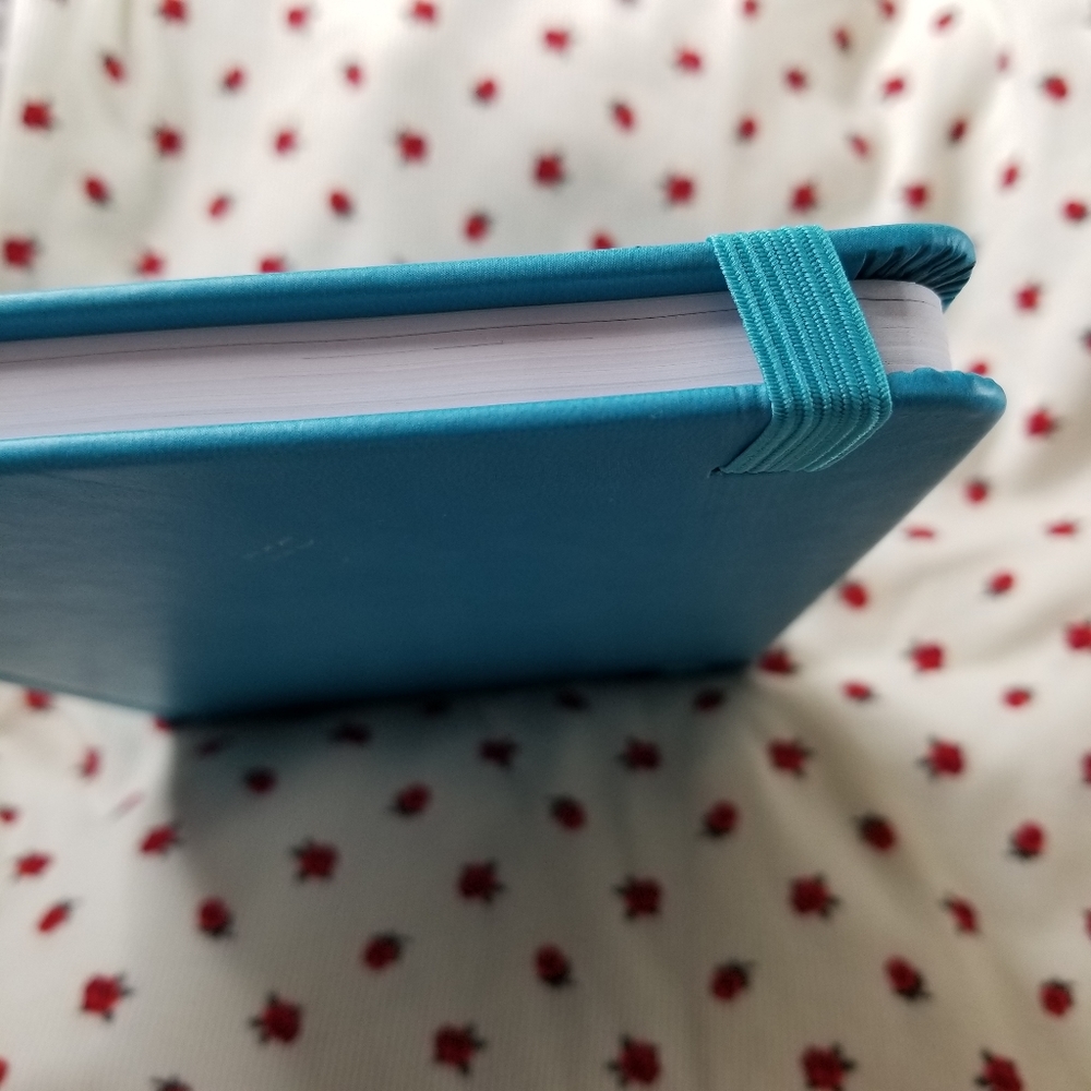 Turquoise Journal - Picture 6 of 11